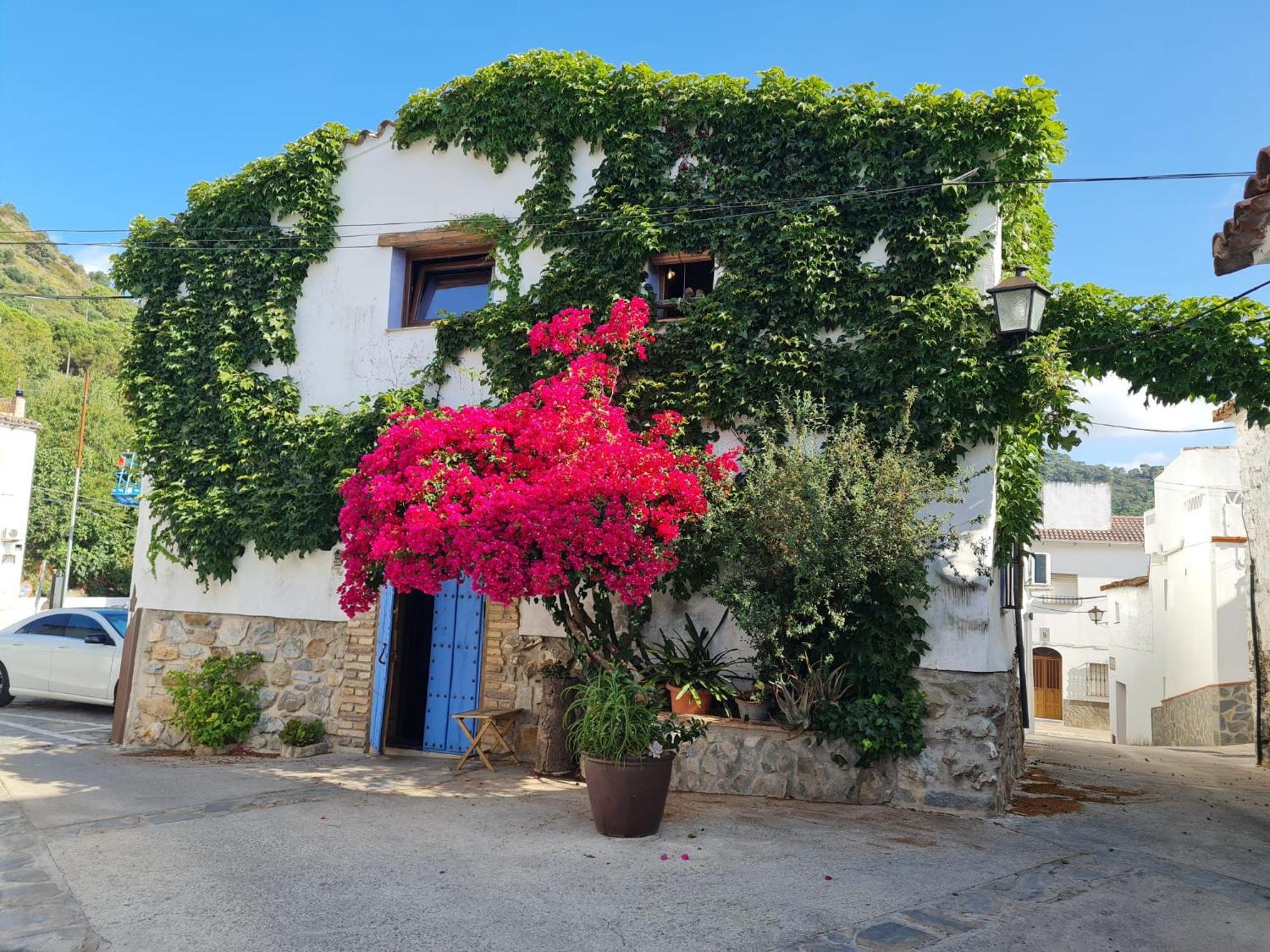 Casa La Yedra By Casaturistica Villa Benarrabá Екстериор снимка